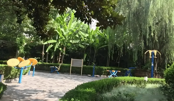 绮罗